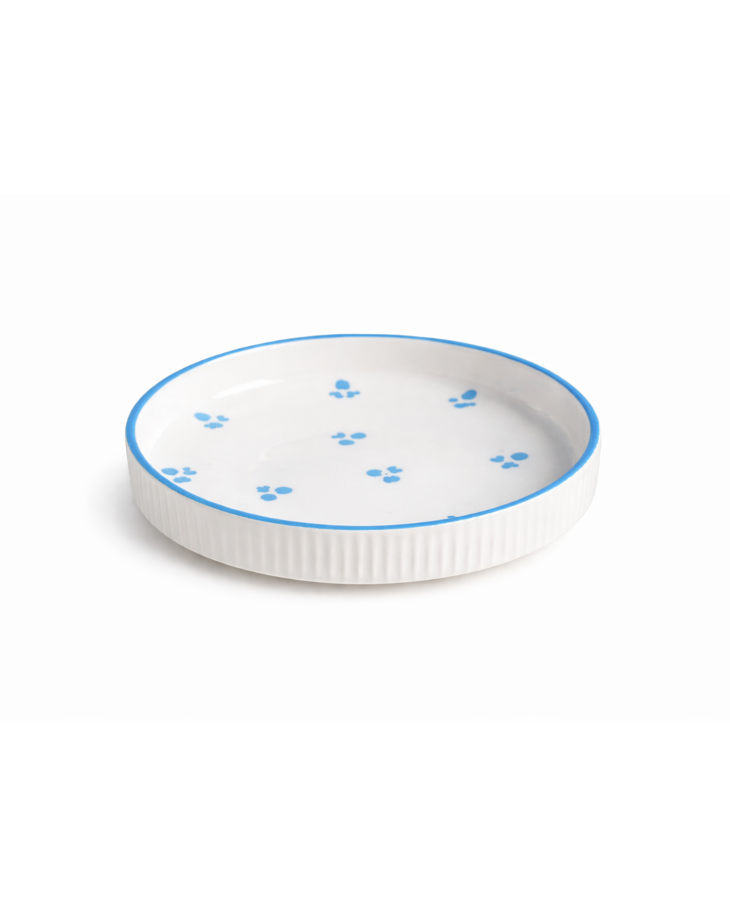 Everyday Ceramic Dish