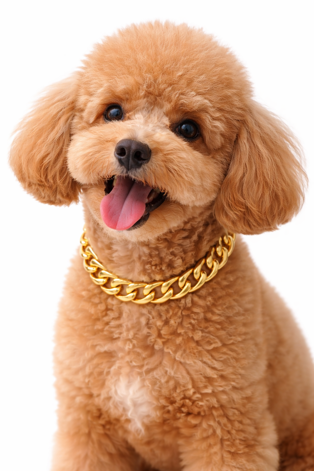 Signature Chain Collar