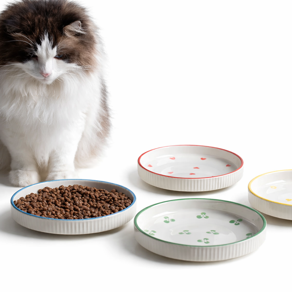 Everyday Ceramic Dish