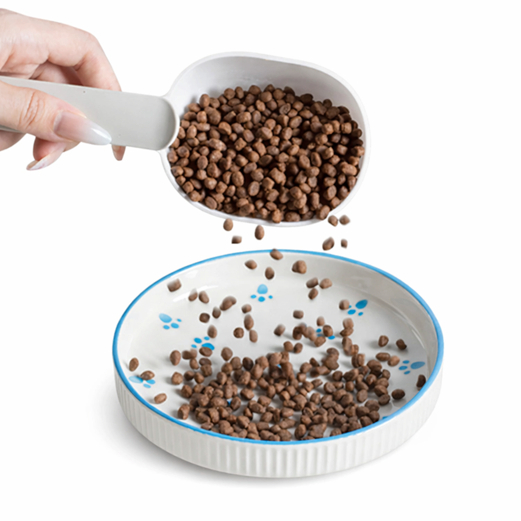 Everyday Ceramic Dish