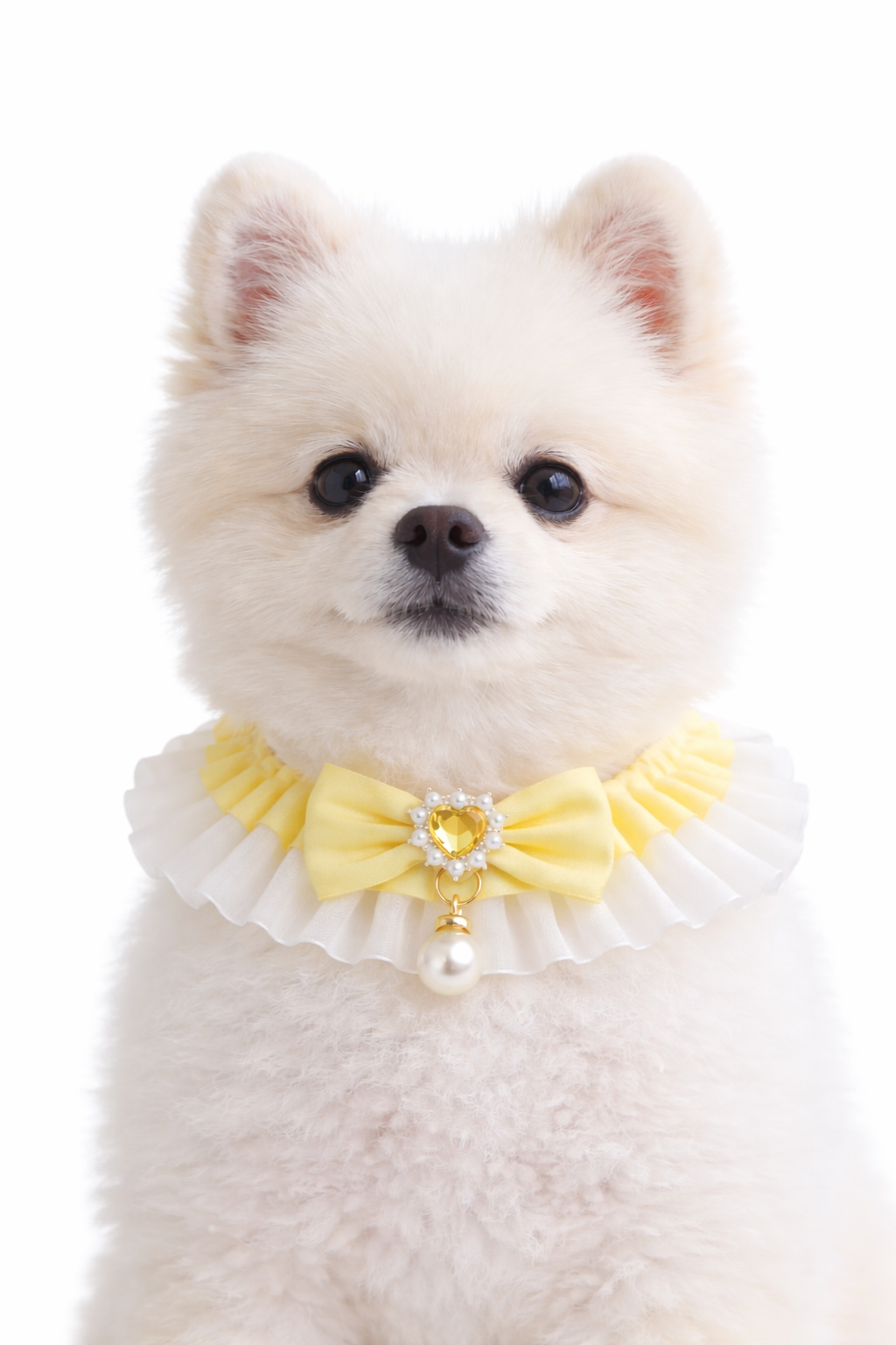 Pearl Petal Collar