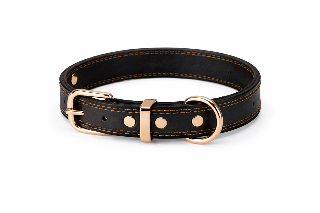 Heritage Leather Collar