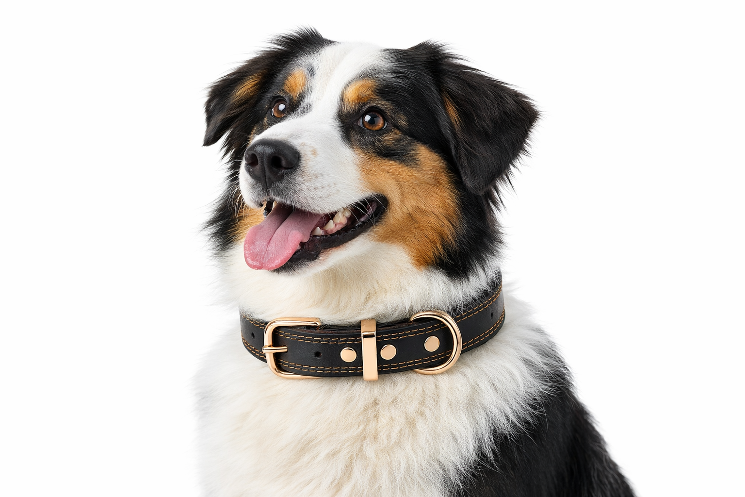 Heritage Leather Collar