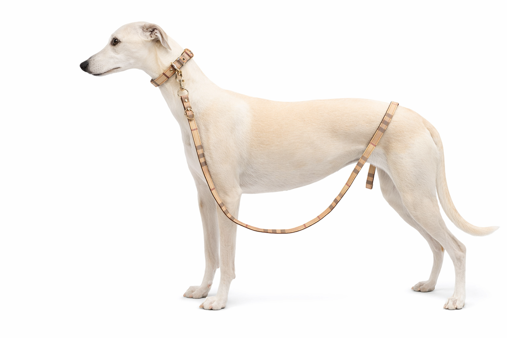 Heritage Fashion Collar