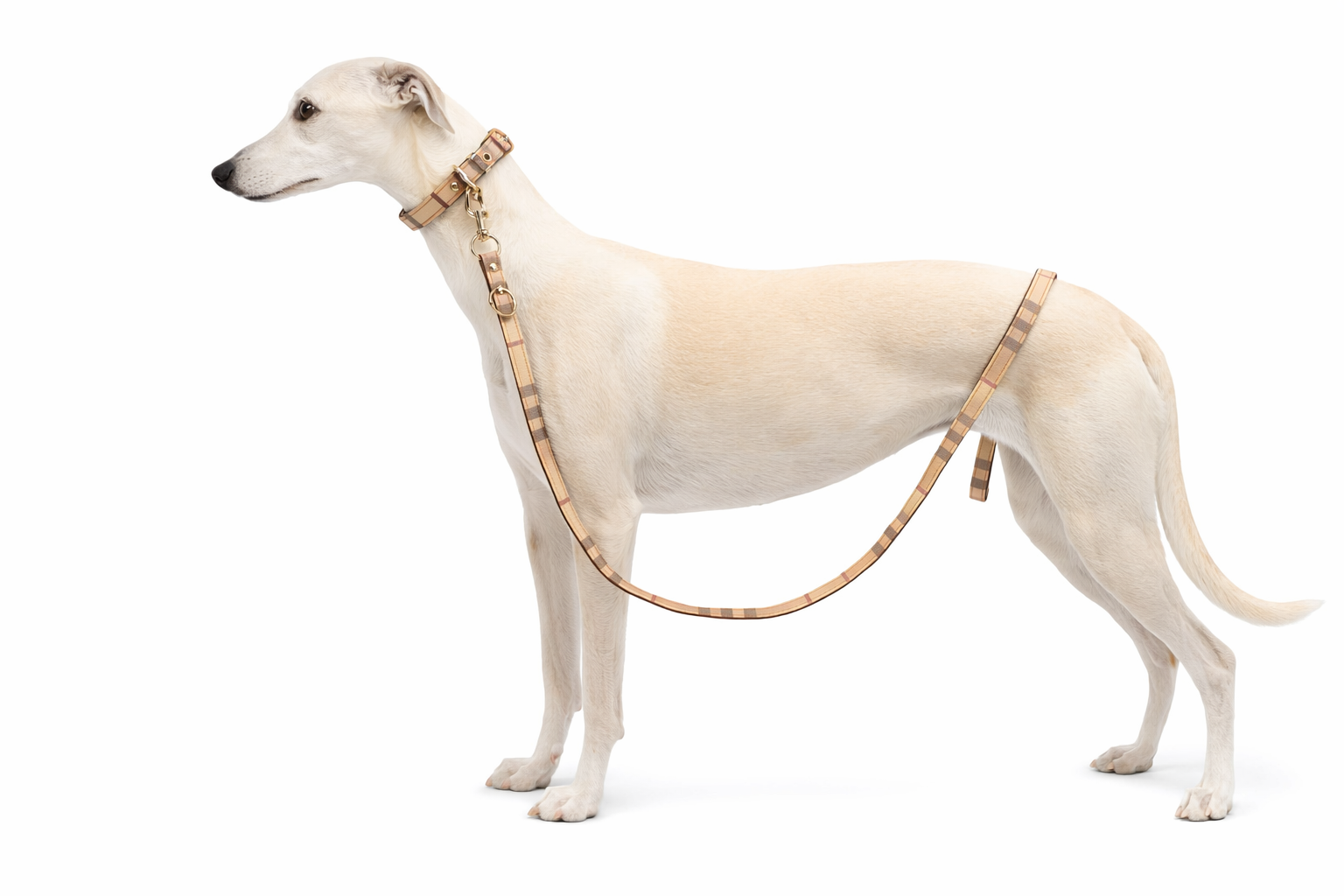 Heritage Fashion Collar