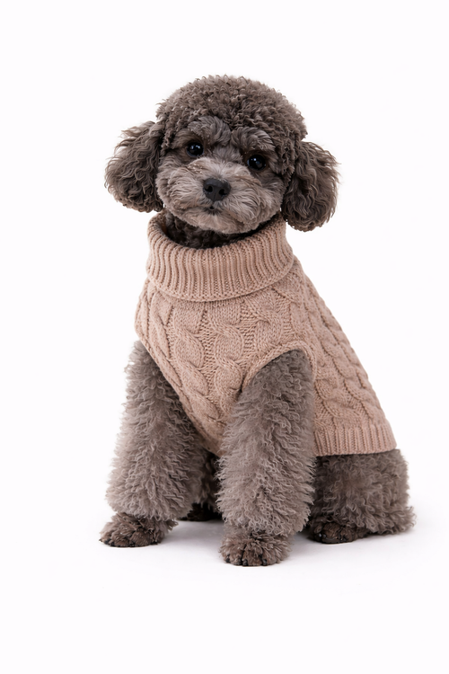 Classic Cable Knit Sweater