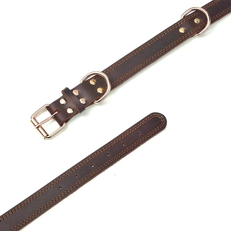 Heritage Leather Collar