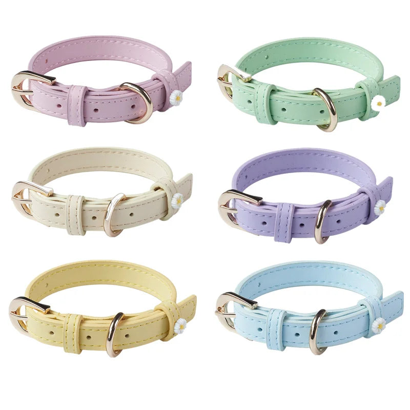 Classic Meadow Collar